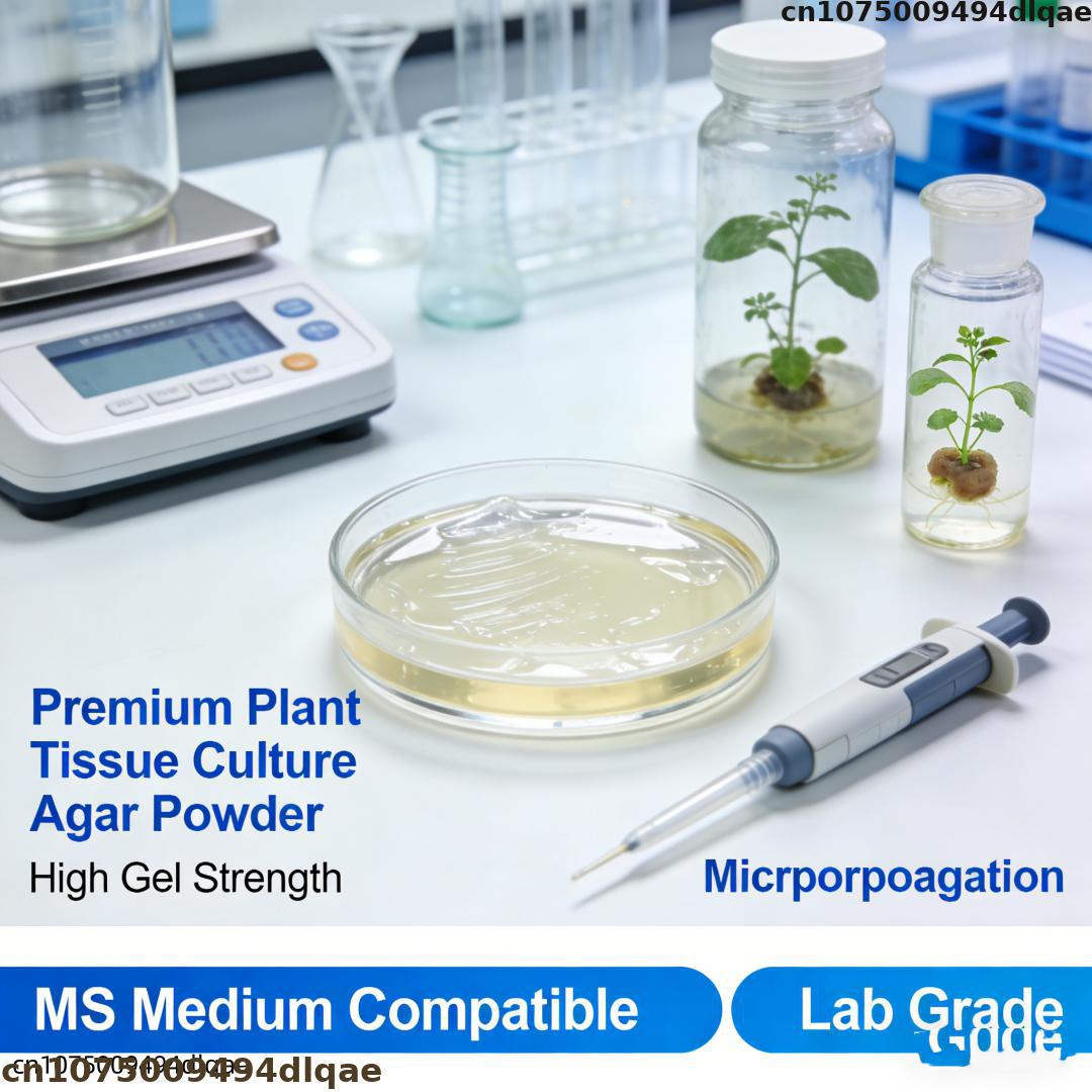 ผงวุ้นเพาะเลี้ยงเนื้อเยื่อพืช  - Agar Tissue Culture บทวิจารณ์และราคา